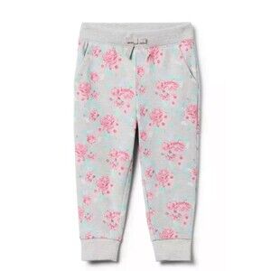 Janie and jack floral jogger sweatpants gray and pink 2T NWT